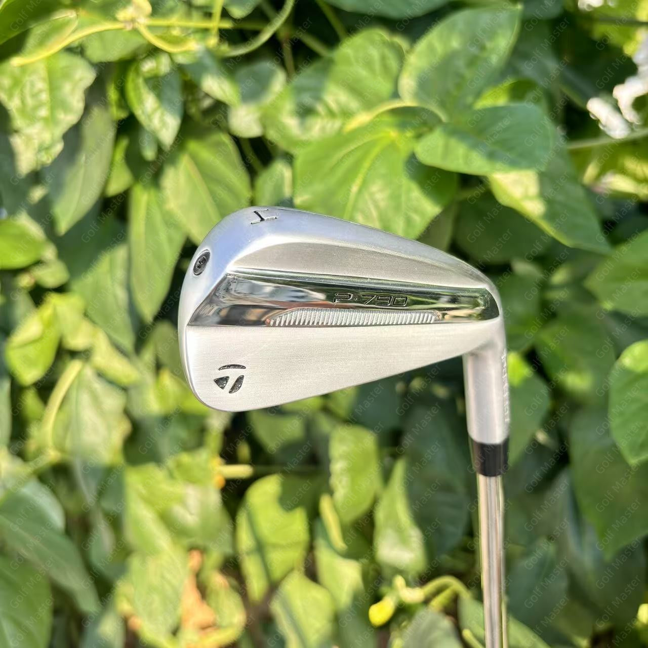 P790-2025 Silver