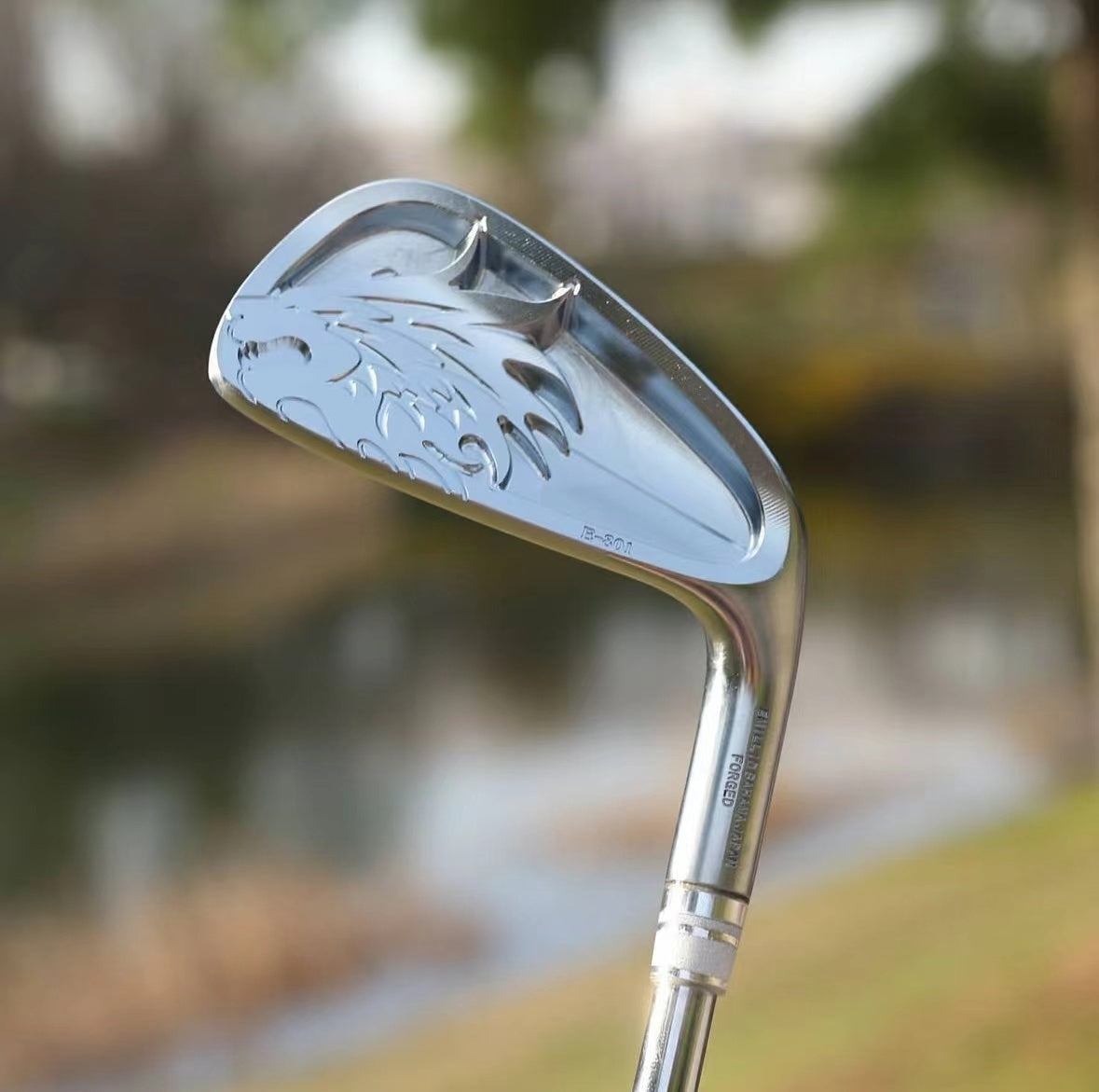 EB-801 Irons