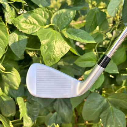 P790-2025 Silver